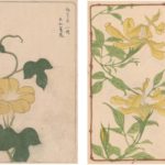 一気に読める！おすすめミステリー【夢幻花（むげんばな）/東野 圭吾】mm事件まで登場する精緻なストーリー！のバナー画像