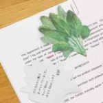 ほうれん草付箋の使用例-4