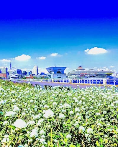 山下公園の画像