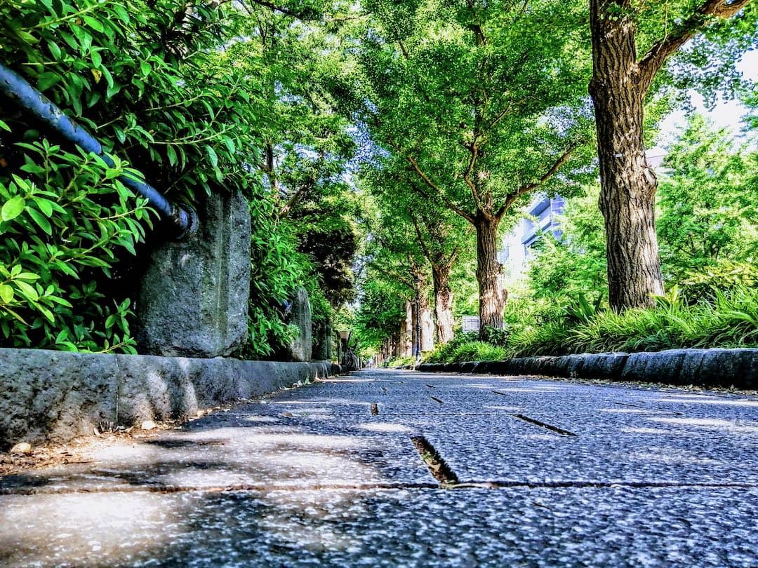 横浜おすすめジョギングコース、日本の道100選、山下公園の画像