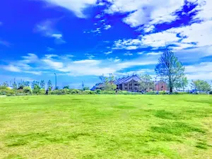 みなとみらい赤レンガ倉庫を見渡す風景画像