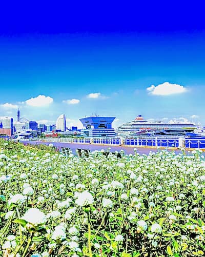 山下公園の画像