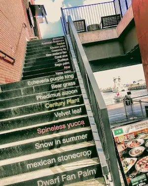 みなとみらいMarineAndWalkのイメージ画像02