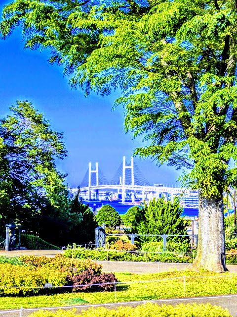 大佛次郎記念館空の景色の画像