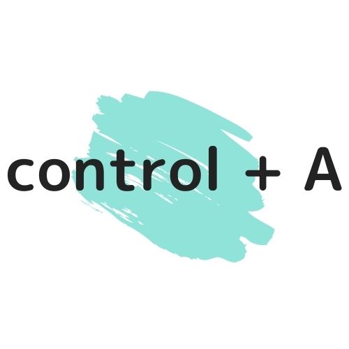 control + Aの図解の画像