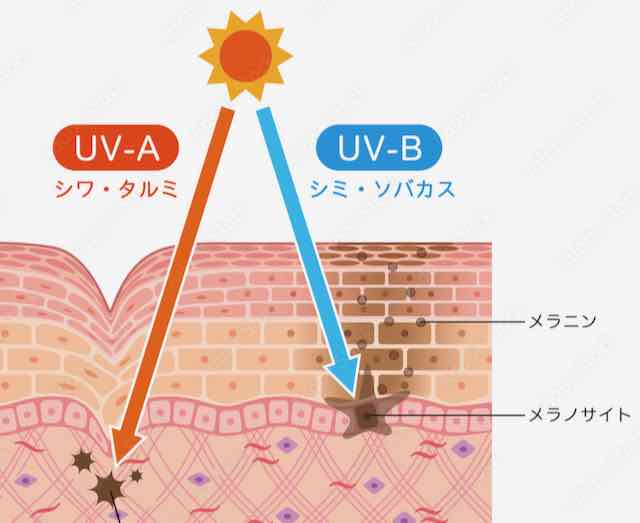 UVカットのイメージ画像