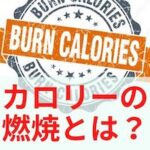 【ダイエットの秘密】ジョギングとカロリー消費のカラクリをスッキリと効率的に理解しよう！のアキャッチ