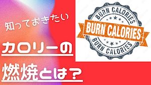 【ダイエットの秘密】ジョギングとカロリー消費のカラクリをスッキリと効率的に理解しよう！へのリンク画像