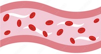 血行促進のイメージ画像