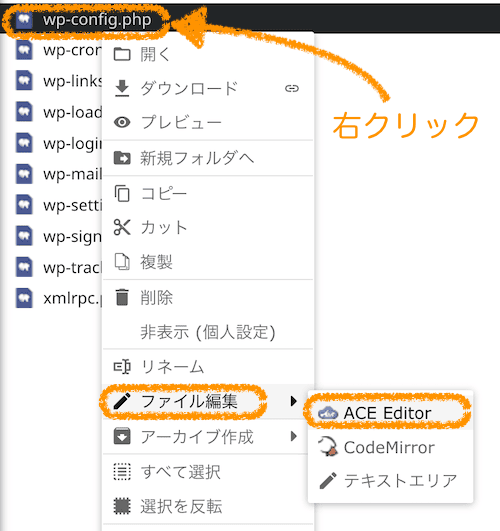 「ACE Editor」